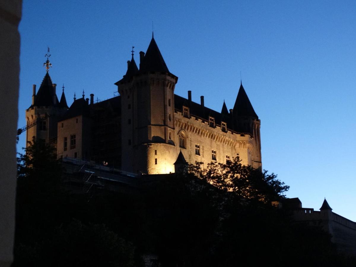 Vue Splendide Sur Chateau Сомюр Экстерьер фото